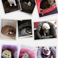 HKM-4079805 Cozy Plush Triceratops Pet Bed for Small Dogs and Cats, Removable Cushion, Soft and Warm