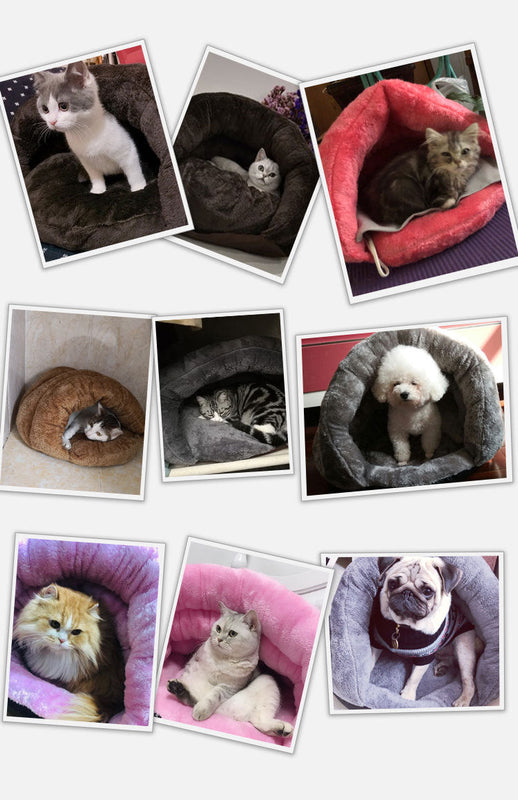 HKM-4079805 Cozy Plush Triceratops Pet Bed for Small Dogs and Cats, Removable Cushion, Soft and Warm
