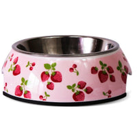 HKM-4079933 Stainless Steel Pet Bowl Set with Melamine Base for Dogs and Cats in Assorted Designs