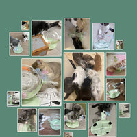 HKM-4086333 Automatic Cat Toy for Self-Play and Boredom Relief, Bite Resistant, Eco-Friendly
