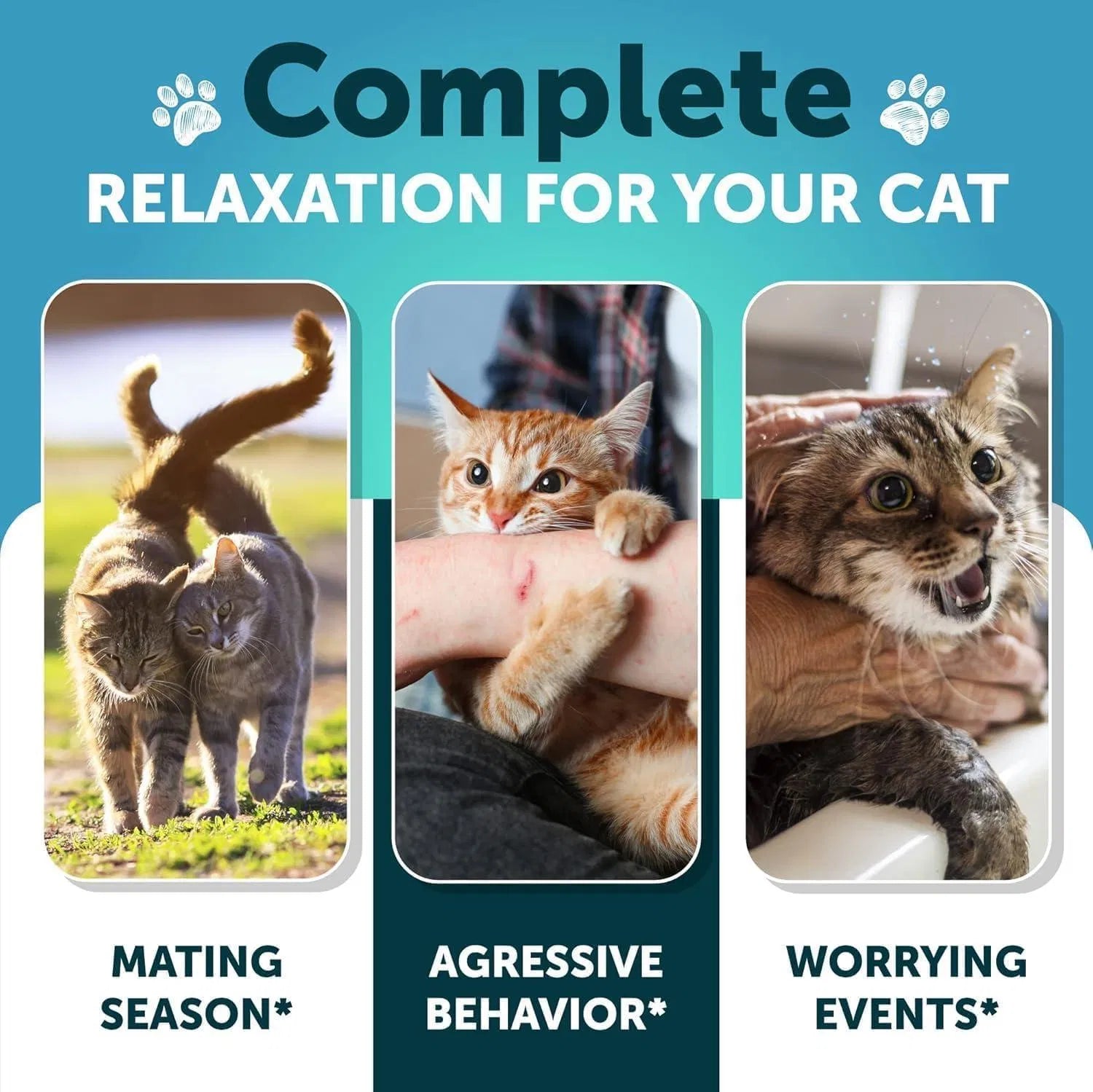 HKM-4091325 Calming Hemp Treats for Cats with Melatonin – Stress and Anxiety Relief Chews for Relaxation