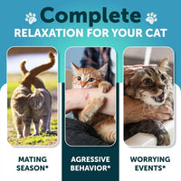 HKM-4091325 Calming Hemp Treats for Cats with Melatonin – Stress and Anxiety Relief Chews for Relaxation
