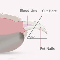 HKM-4092733 LED Light Pet Nail Clippers for Cats and Dogs with Ergonomic Non-Slip Handle