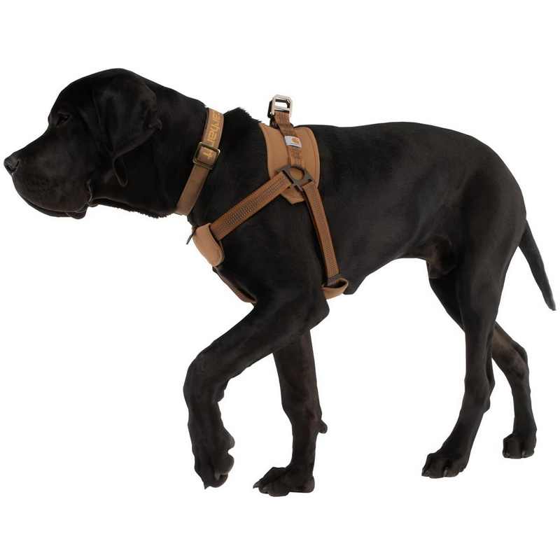 HKM-4095037 Chest Strap Dog Safety Training Belt with Reflective Hand Holding Rope - Size M, L, XL