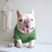 HKM-4095421 Casual Waffle Stretch Stripe Pet Clothes for Dogs - Two-Piece Set, Green, Various Sizes