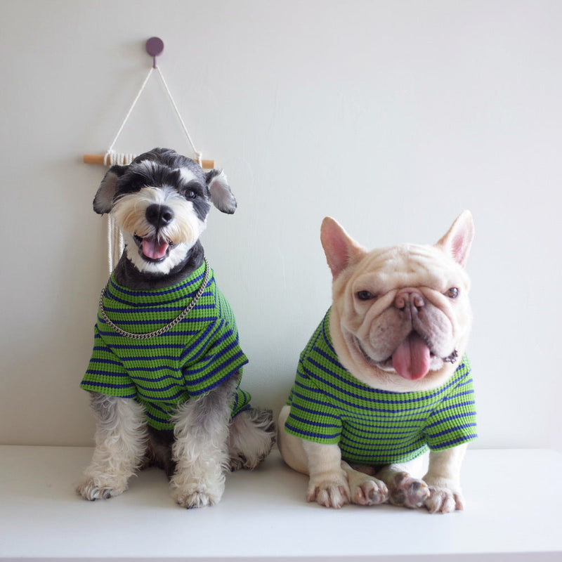 HKM-4095421 Casual Waffle Stretch Stripe Pet Clothes for Dogs - Two-Piece Set, Green, Various Sizes