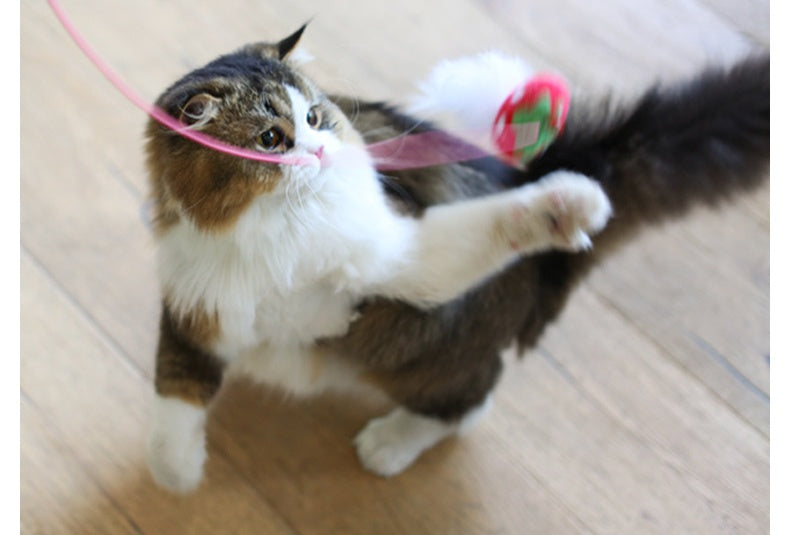 HKM-4096061 Feather Plush Cat Teaser Stick - Bite Resistant Cat Toy