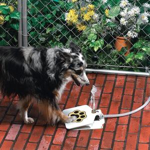 HKM-4097085 Outdoor Pet Water Fountain with Hose Attachment and Paw Pad Activation