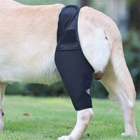 HKM-4098621 Dog Leg Support Protector with Adjustable Straps for Front and Rear Leg Injuries, Stabilizing Knee Brace