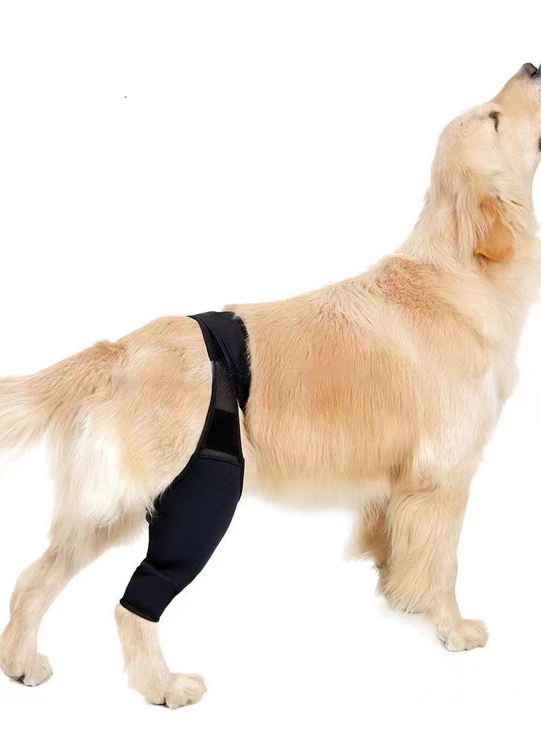 HKM-4098621 Dog Leg Support Protector with Adjustable Straps for Front and Rear Leg Injuries, Stabilizing Knee Brace