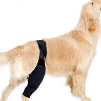 HKM-4098621 Dog Leg Support Protector with Adjustable Straps for Front and Rear Leg Injuries, Stabilizing Knee Brace