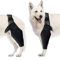 HKM-4098621 Dog Leg Support Protector with Adjustable Straps for Front and Rear Leg Injuries, Stabilizing Knee Brace