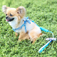 HKM-4100797 Adjustable Nylon and Cotton Dog Leash for All Breeds, 1.0/1.5m, Available in Multiple Colors