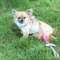 HKM-4100797 Adjustable Nylon and Cotton Dog Leash for All Breeds, 1.0/1.5m, Available in Multiple Colors