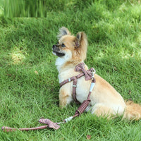 HKM-4100797 Adjustable Nylon and Cotton Dog Leash for All Breeds, 1.0/1.5m, Available in Multiple Colors