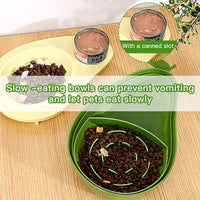 HKM-4104253 Automatic Avocado Shape Pet Feeder and Water Dispenser for Small Animals