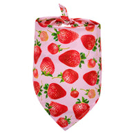 HKM-4104381 Pet Triangle Drool Towel in Summer Fruit Designs for Dogs