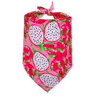 HKM-4104381 Pet Triangle Drool Towel in Summer Fruit Designs for Dogs