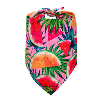 HKM-4104381 Pet Triangle Drool Towel in Summer Fruit Designs for Dogs