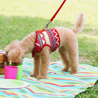 HKM-4105149 Ethnic Style Dog Leash and Chest Strap Suit - Nylon Material, Polka-Dot Design