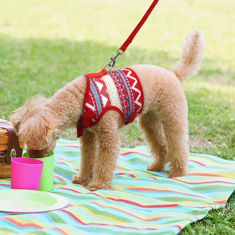 HKM-4105149 Ethnic Style Dog Leash and Chest Strap Suit - Nylon Material, Polka-Dot Design