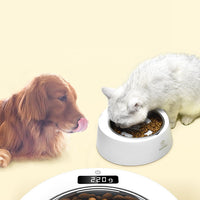 HKM-4106941 Stainless Steel Anti-Tipping Bowl for Weighing Pets ¨C 500g Capacity