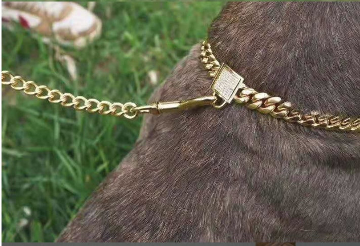 HKM-4108733 Gold Titanium Steel Dog Collar with Encryption Chain Buckle - Multiple Sizes Available