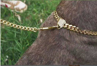 HKM-4108733 Gold Titanium Steel Dog Collar with Encryption Chain Buckle - Multiple Sizes Available