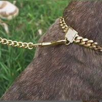 HKM-4108733 Gold Titanium Steel Dog Collar with Encryption Chain Buckle - Multiple Sizes Available