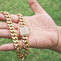 HKM-4108733 Gold Titanium Steel Dog Collar with Encryption Chain Buckle - Multiple Sizes Available