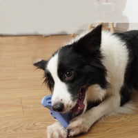 HKM-4119741 Bite Resistant Boomerang Dog Toy for Medium and Large Breeds
