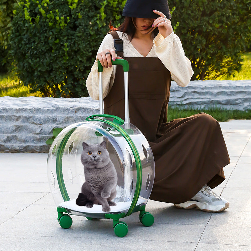 HKM-4120509 Transparent Space Capsule Pet Trolley Bag - Geometric Pattern, Medium Hard Material, 7.5kg Capacity