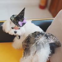 HKM-4123069 Spider Web Hat and Shawl Set for Pets - Halloween Costume Accessories in Various Sizes