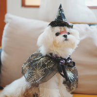 HKM-4123069 Spider Web Hat and Shawl Set for Pets - Halloween Costume Accessories in Various Sizes