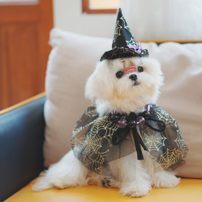 HKM-4123069 Spider Web Hat and Shawl Set for Pets - Halloween Costume Accessories in Various Sizes