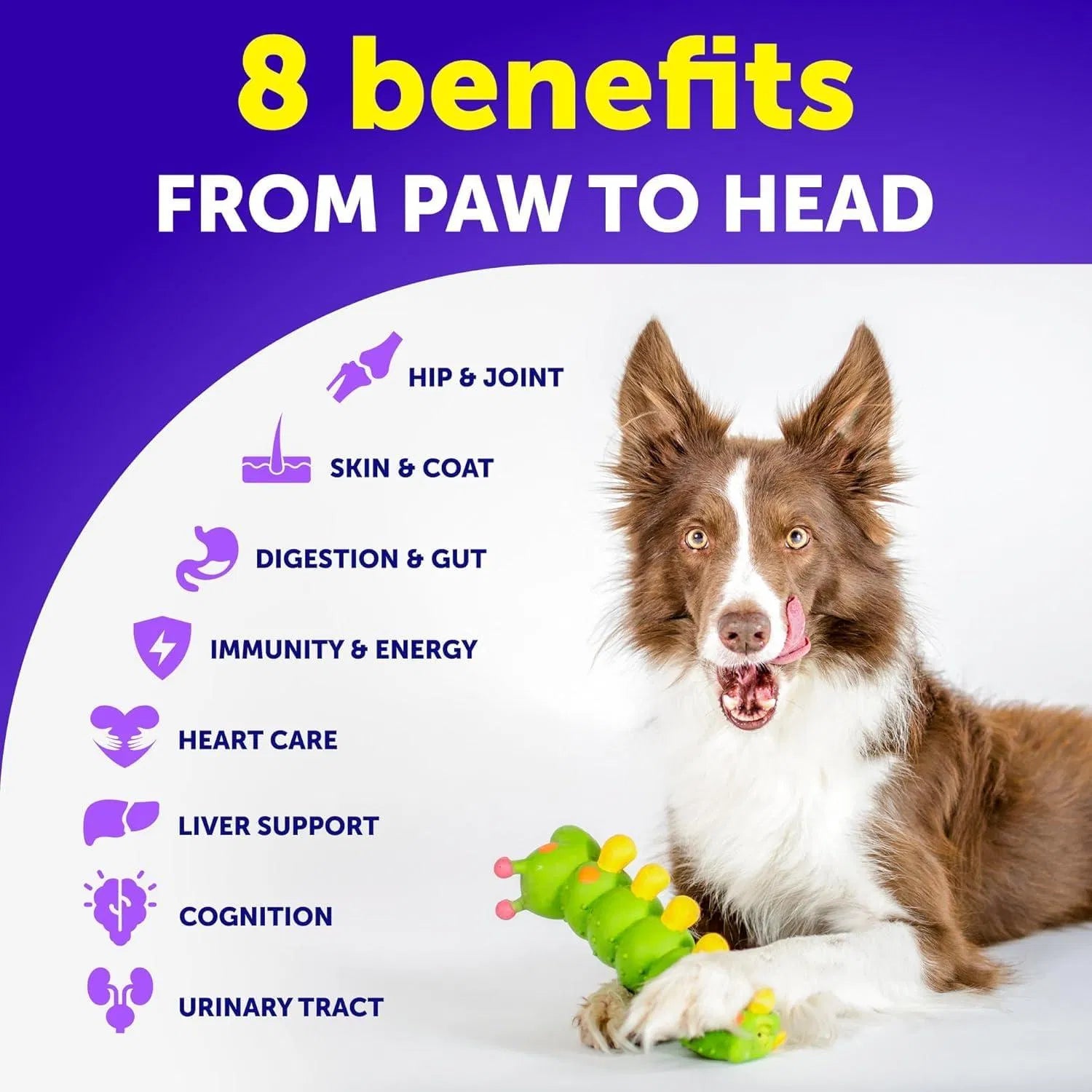 HKM-4124093 Chewable Dog Multivitamin with Glucosamine - 20-in-1 Joint Support, Immune Health, Skin & Coat Care, 120 Chews