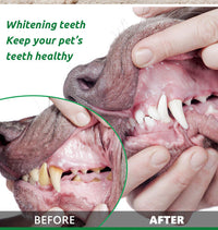 HKM-4125885 Edible Seaweed Tooth Cleaning Powder for Fresh Breath - 100g