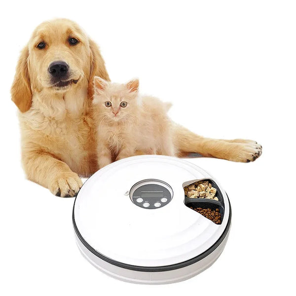HKM-412883 Automatic Pet Food Dispenser with Smart Timed Control, White, Size 30 cm x 7 cm