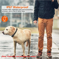 HKM-4129469 Waterproof Dog Training Collar Receiver with IP67 Protection