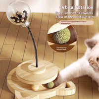 HKM-4129981 Wooden Cat Toy with Freeze-Dried Hokey Pokey, Large and Medium Holes