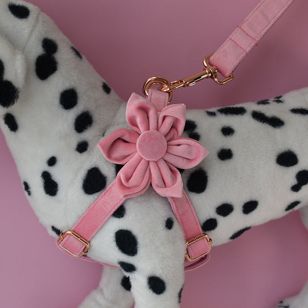 HKM-4138813 Rose Gold Buckle Flannelette Dog Harness Set with Leash, Bow and Flower Accents