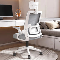 HKM-414291 Ergonomic Mesh Executive Office Chair with Adjustable Armrests and Lumbar Support