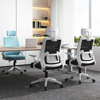 HKM-414291 Ergonomic Mesh Executive Office Chair with Adjustable Armrests and Lumbar Support