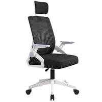 HKM-414291 Ergonomic Mesh Executive Office Chair with Adjustable Armrests and Lumbar Support