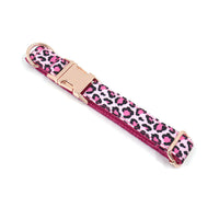 HKM-4145085 Leopard Print and Rose Gold Pet Collar and Leash Set for Dogs