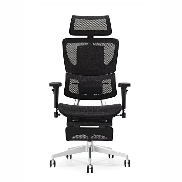 HKM-414867 Ergonomic Mesh Office Chair with Adjustable Features and Executive Design