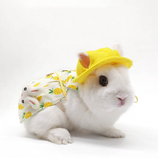 HKM-4149437 Lop-Eared Rabbit Outfit with Tow Rope - Cotton Bunny Clothes for All Sizes