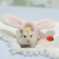 HKM-4155197 Adorable Hamster Bunny Costume Outfit - Available in Various Cute Designs and Sizes XS to XL