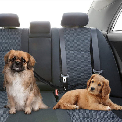 HKM-4160573 Pet Car Seat Belt for Two Dogs - Dual-Ended Safety Traction Rope, Adjustable Polyester Design
