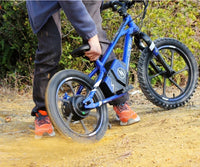 HKM-416147 16-Inch Electric Balance Bike with Brushless Motor, 36V 350W, Aluminum Alloy Frame, Disc Brake, 3-Speed, Max Speed 50km/h